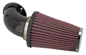 Filtro de aire inclinado genuino marca Zodiac