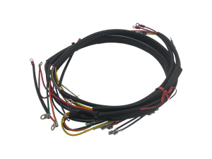 Mazo de cables eléctrico completo para motocicleta Harley-Davidson