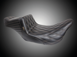 Tailwhip de cola estilo Le Pera instalado en motocicleta Harley-Davidson Touring