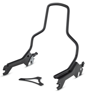 Barras de respaldo desmontables instaladas en la parte trasera de una Harley-Davidson Softail