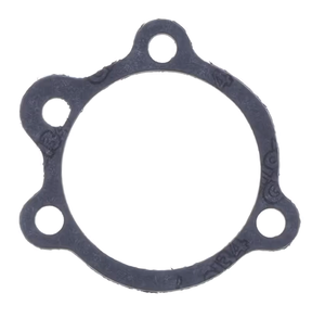 Kit de juntas tóricas y retenes de aceite para motor Big Twin Evolution
