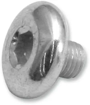 Tornillo de recambio para filtro de aire