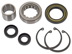 Kits de retenes y rodamientos All Balls organizados para recambio de motocicleta