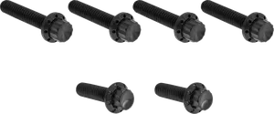 Kit de tornillos de titanio de 12 puntos para tapa lateral de transmisión