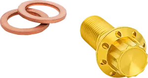 Tornillo banjo de titanio 12 puntos