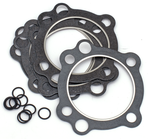 Kit de juntas tóricas y retenes de aceite para motor Big Twin Evolution