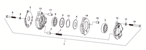 Bomba de aceite X-Wedge para Harley-Davidson
