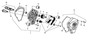 Árboles de levas X-Wedge con transmisión y tapa de distribución