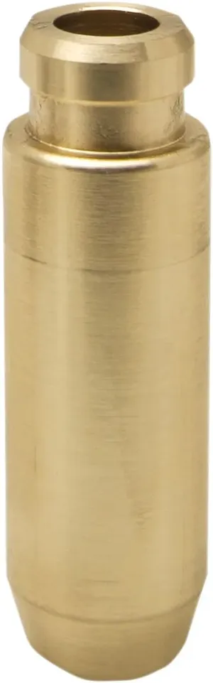 C674 Valve Guide - intake RZR900