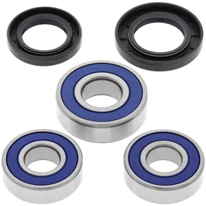Kit de rodamientos de rueda All Balls, trasero