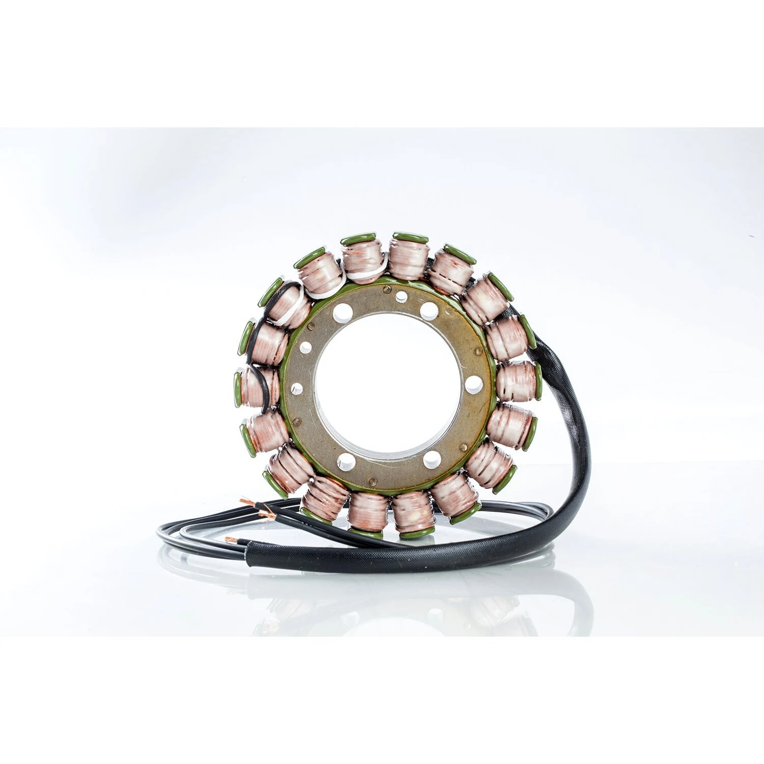 ak-0067-6670-rick-s-motorsport-electronics-1