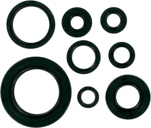 Juego de retenes de aceite para motor de motocicleta Harley-Davidson