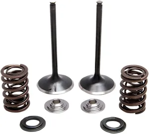 Stainless steel intake valve and spring conversion kit - INT springs TRX450R 04