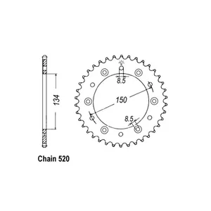 Piñón trasero JT 460.49