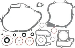 Kit completo de juntas y retenes de aceite <span style="color: red;font-size: 0,5em">- ALMACEN USA-</span>