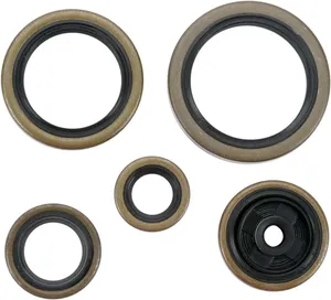 Engine oil seals