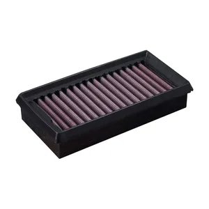Elemento de filtro de aire DNA