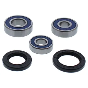 Kit de rodamientos de rueda All Balls, trasero