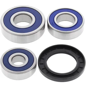 Kit de rodamientos de rueda All Balls, trasero