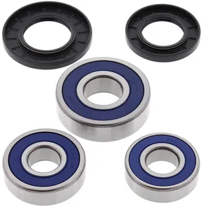 Kit de rodamientos de rueda All Balls, trasero