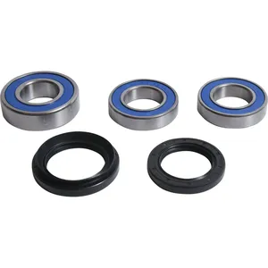 Kit de rodamientos de rueda All Balls, trasero