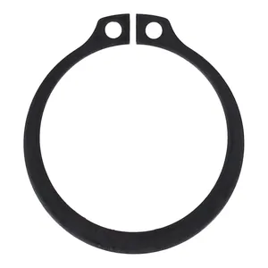 Anillo de retención, buje interior BDL