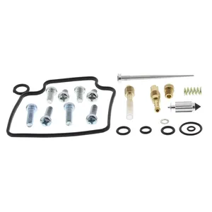 Kit de reconstrucción de carburador All Balls