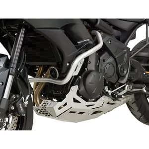 Protector de motor Zieger plateado
