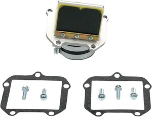 Conjunto de caja de láminas Rad Valve