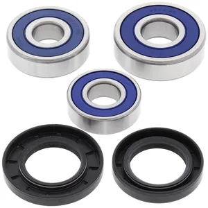Kit de rodamientos de rueda All Balls, trasero