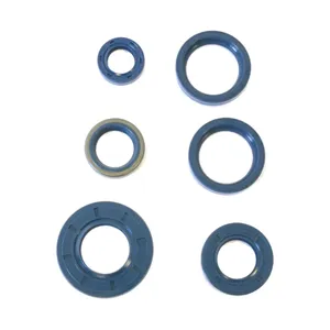 Kit de juntas tóricas de motor Athena