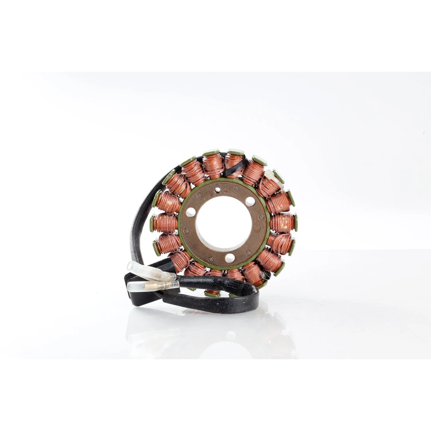 ak-1460-3606-rick-s-motorsport-electronics-1