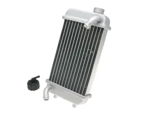 Tapón de radiador metálico para motocicleta Harley-Davidson o Indian