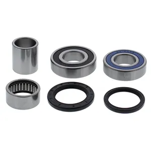 Kit de rodamientos de rueda All Balls, trasero