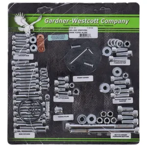 Juego de tornillos del motor, Allen cromado