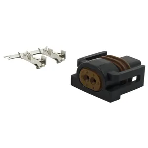 NAMZ, conector del sensor de temperatura del aire de admisión. 2 pines