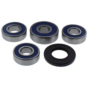Kit de rodamientos de rueda All Balls, trasero