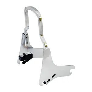 Cycle Visions, placas laterales desmontables para barra trasera. Cromadas