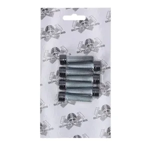 Screws4Bikes, kit de tornillos, 6x soportes horquilla delantera SH