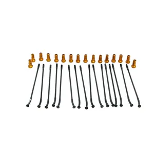 Kit de radios de acero y tuercas de rueda de recambio para motocicleta