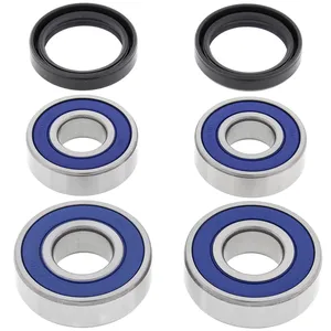 Kit de rodamientos de rueda All Balls, trasero