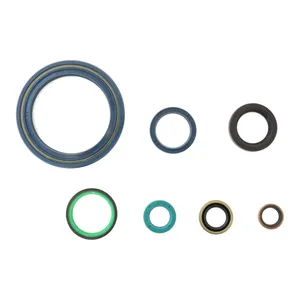 Kit de juntas tóricas de motor Athena