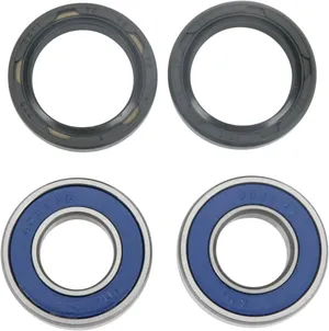 Kit de Rodamientos de Rueda