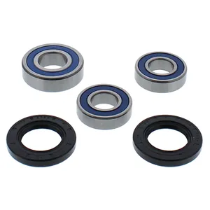 Kit de rodamientos de rueda All Balls, trasero