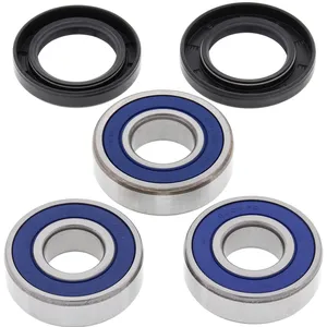 Kit de rodamientos de rueda All Balls, trasero