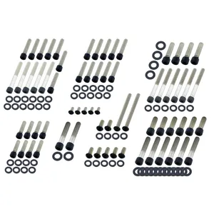 Kit de pernos de motor Screws4bikes