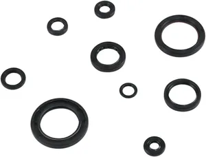 Oil seal kit - engine HON