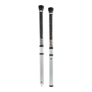Öhlins, kit de cartuchos de horquilla delantera NIX30 Street. FLSB