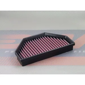 Elemento de filtro de aire DNA