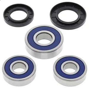 Kit de rodamientos de rueda All Balls, trasero